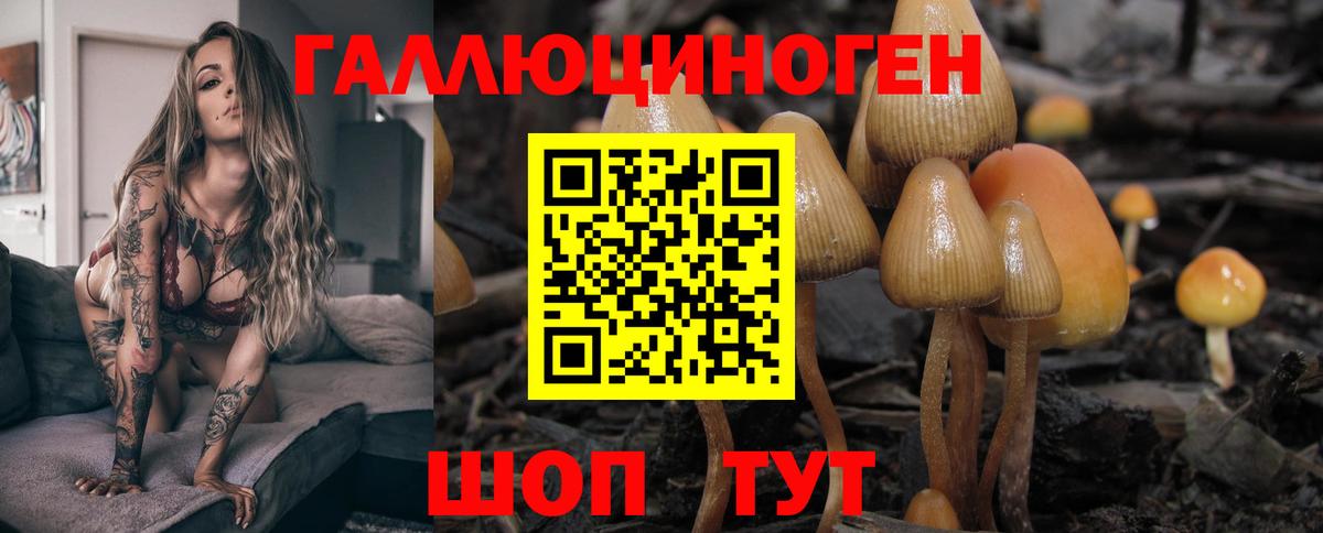 Галлюциногенные грибы мухоморы  Вход с VPN  купить наркоту  Нефтекумск 