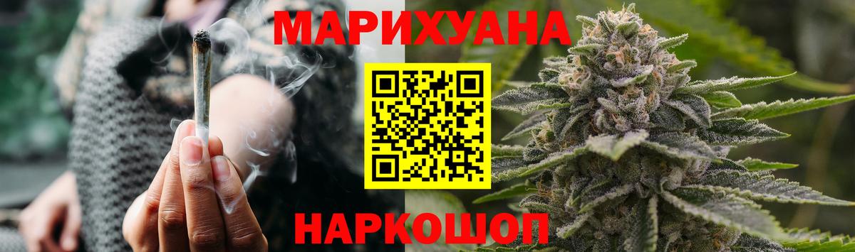 Каннабис сатива Нефтекумск
